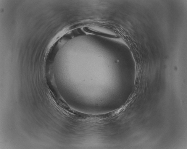 X0000067350150200604131759