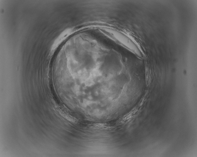 X0000067350151200604131759