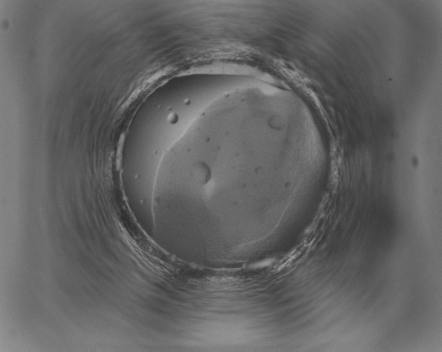 X0000067350154200604131759