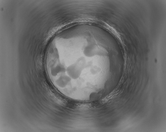 X0000067350155200604131759