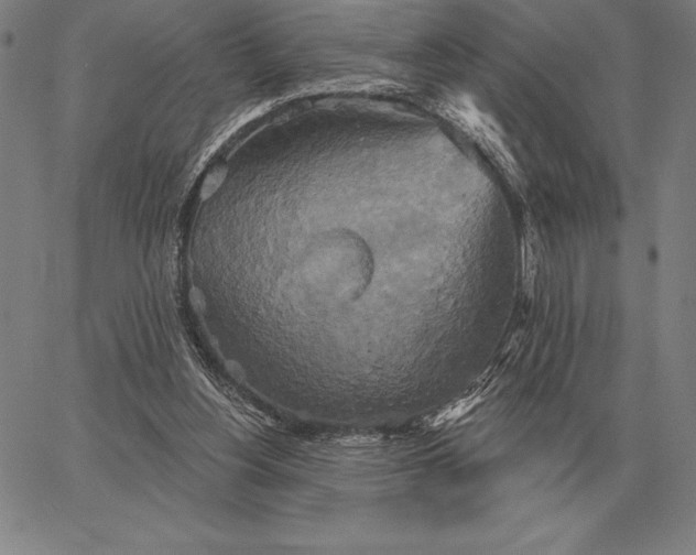 X0000067350156200604131759