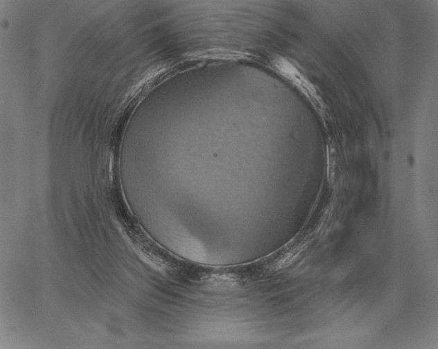 X0000067350157200604131759