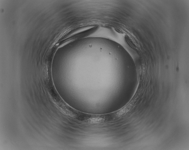 X0000067350158200604131759