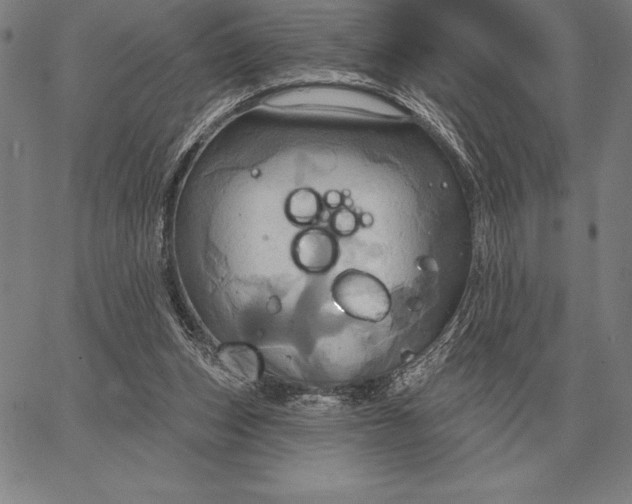 X0000067350159200604131759