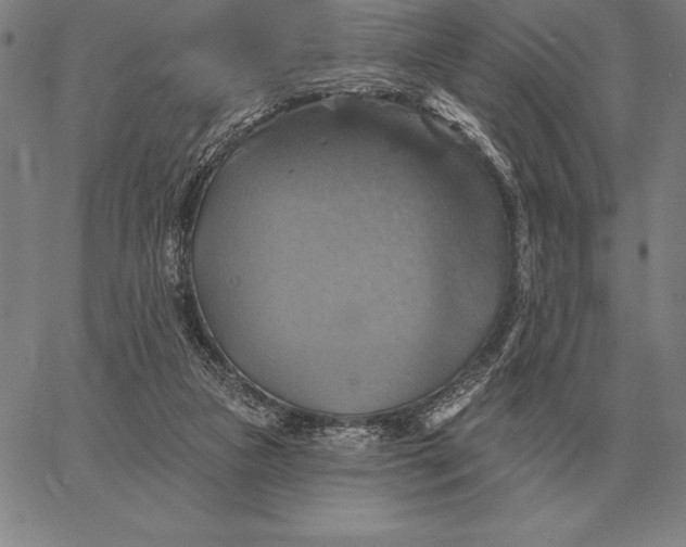 X0000067350161200604131759