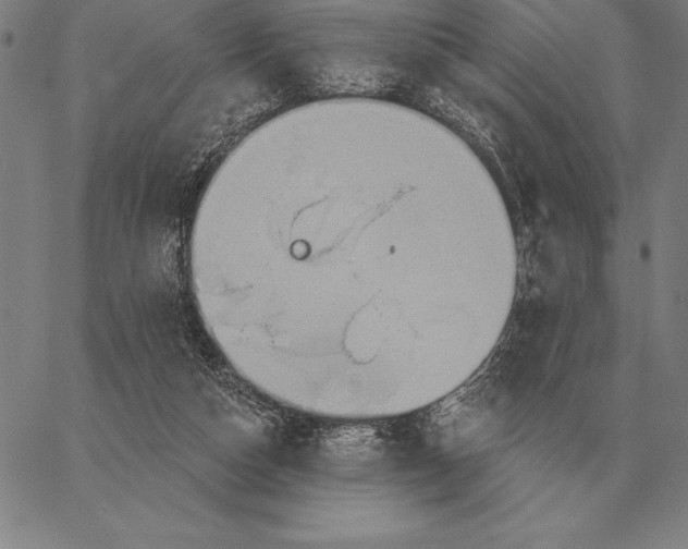 X0000067350162200604131759