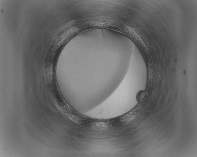 X0000067350163200604131759