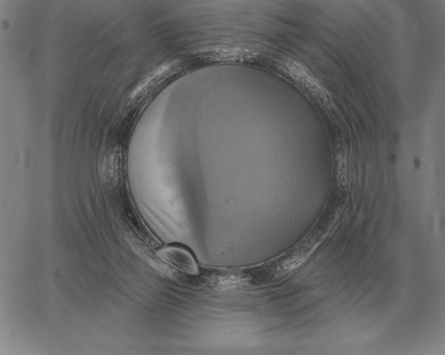 X0000067350165200604131759