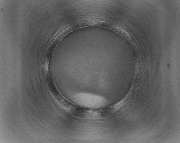 X0000067350166200604131759