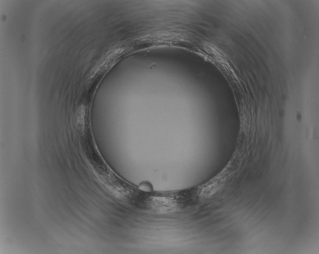 X0000067350167200604131759