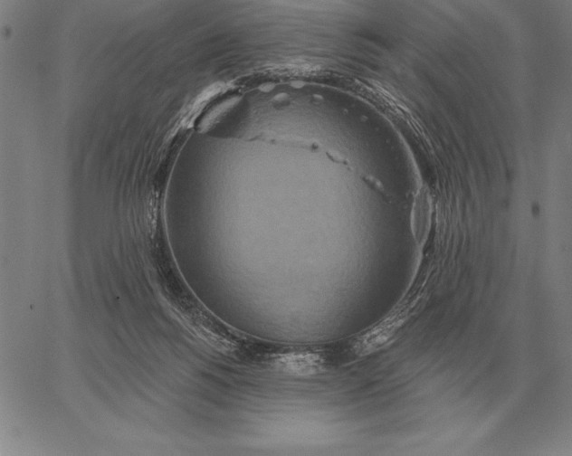 X0000067350168200604131759