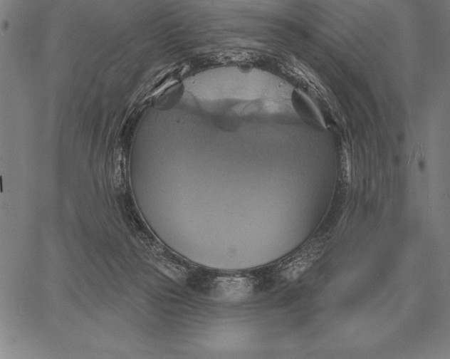 X0000067350169200604131759