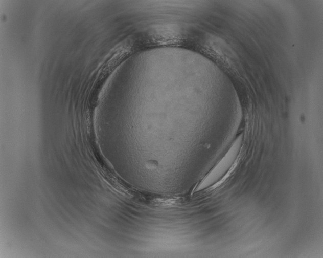 X0000067350170200604131759