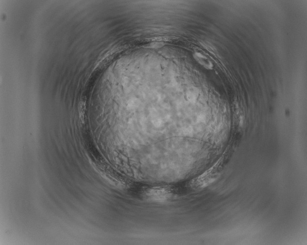 X0000067350171200604131759