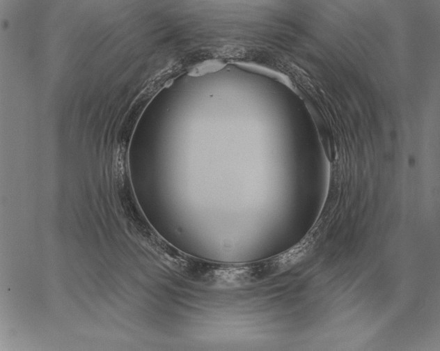 X0000067350172200604131759