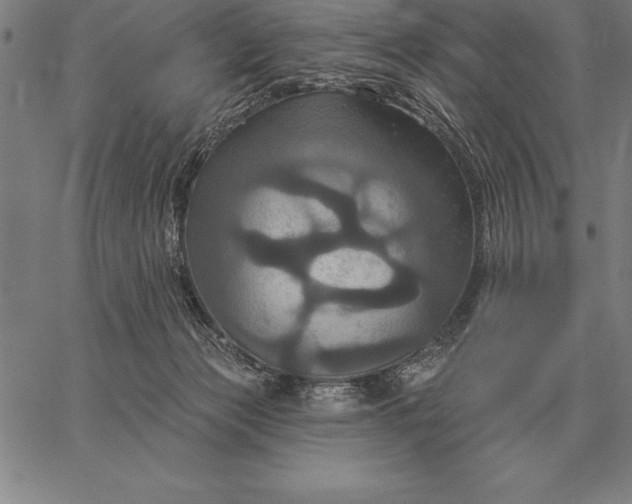 X0000067350173200604131800