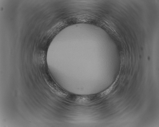 X0000067350174200604131800