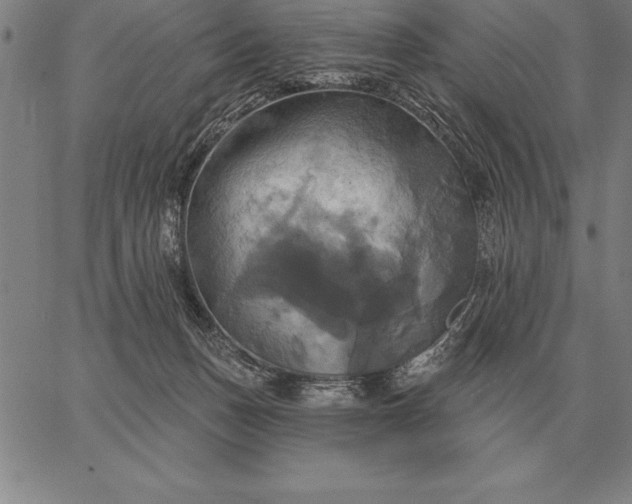 X0000067350175200604131800