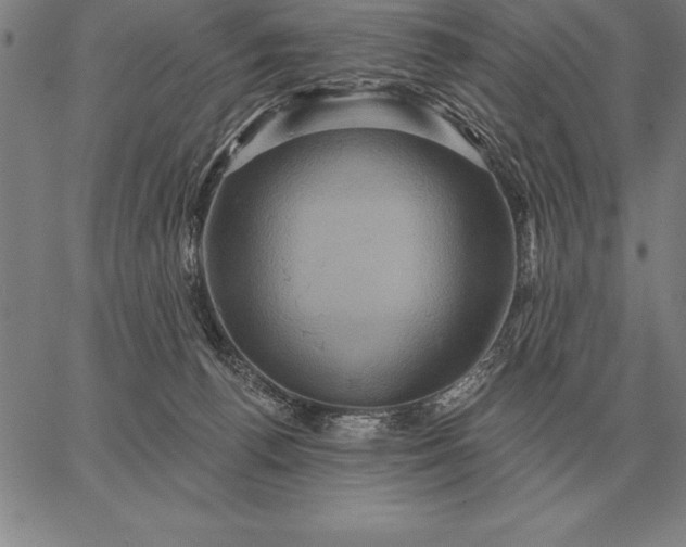 X0000067350176200604131800