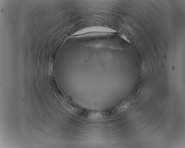 X0000067350177200604131800