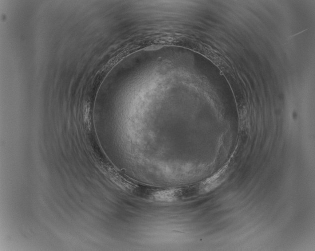 X0000067350178200604131800