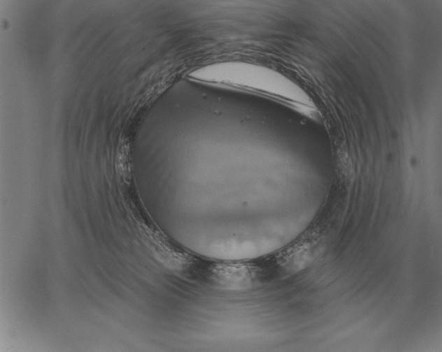 X0000067350181200604131800