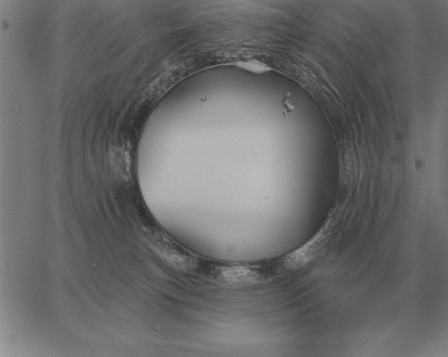 X0000067350183200604131800