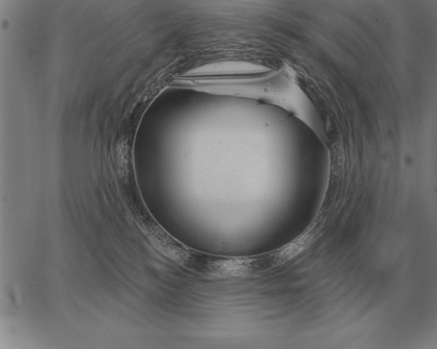 X0000067350184200604131800