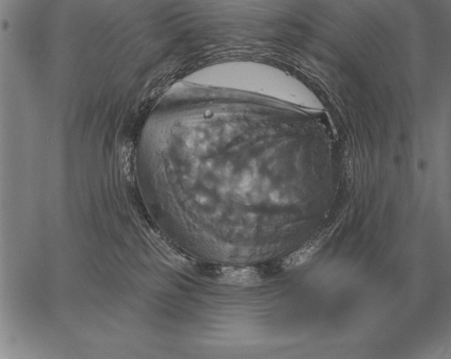 X0000067350185200604131800