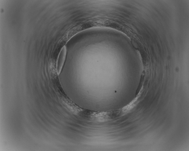 X0000067350186200604131800