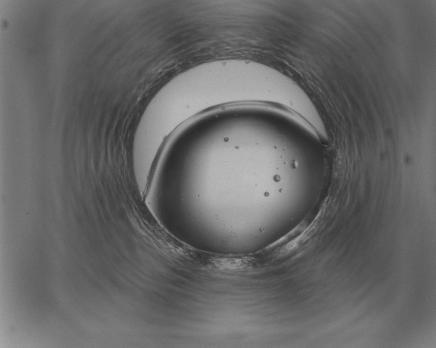 X0000067350187200604131800