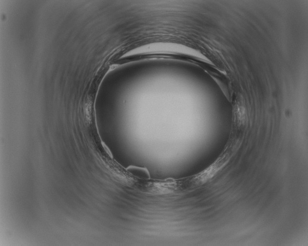 X0000067350188200604131800