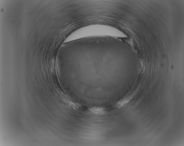 X0000067350189200604131800