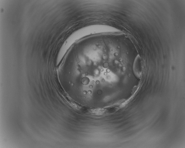 X0000067350191200604131800