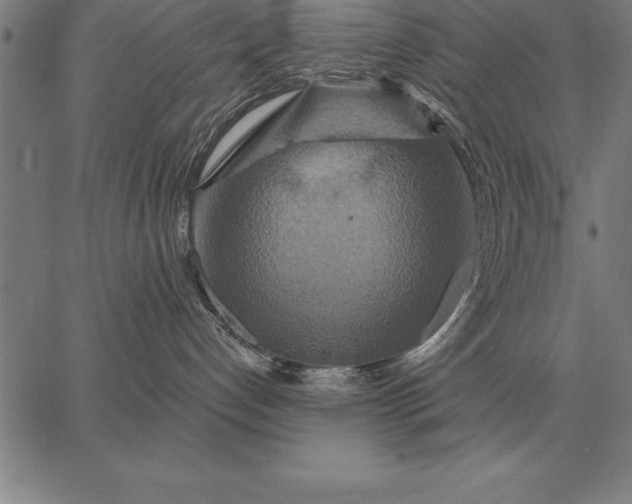 X0000067350192200604131800