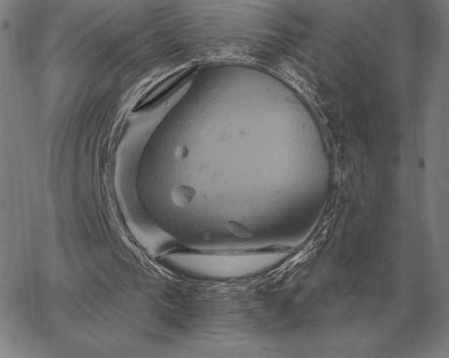 X0000067350193200604131759