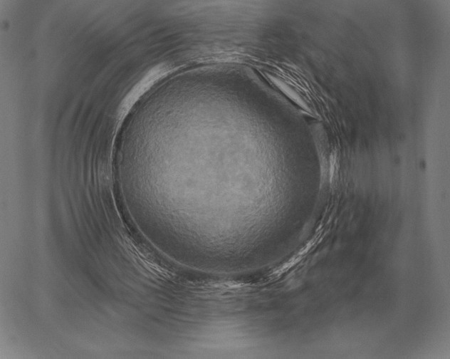 X0000067350195200604131759