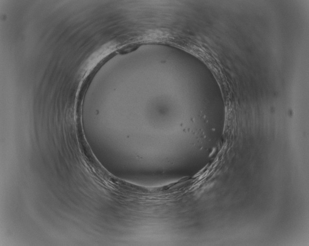 X0000067350196200604131759