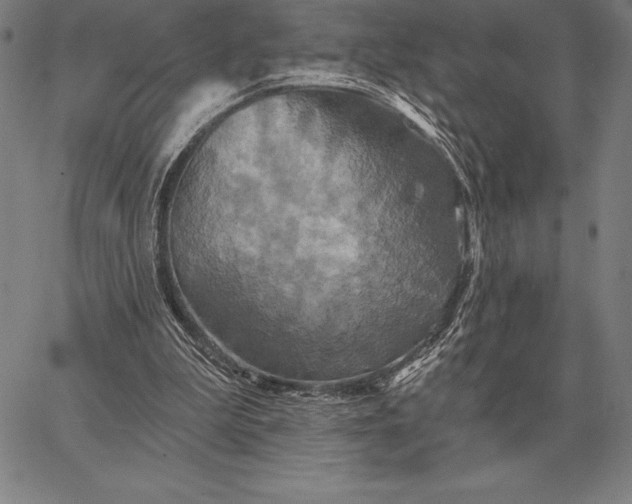 X0000067350199200604131759