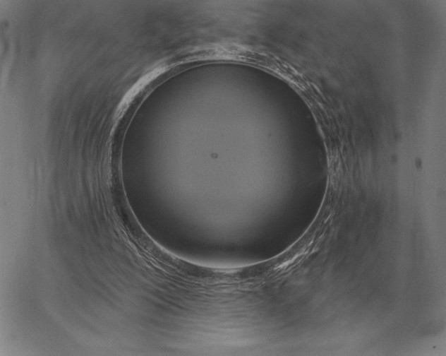 X0000067350200200604131759