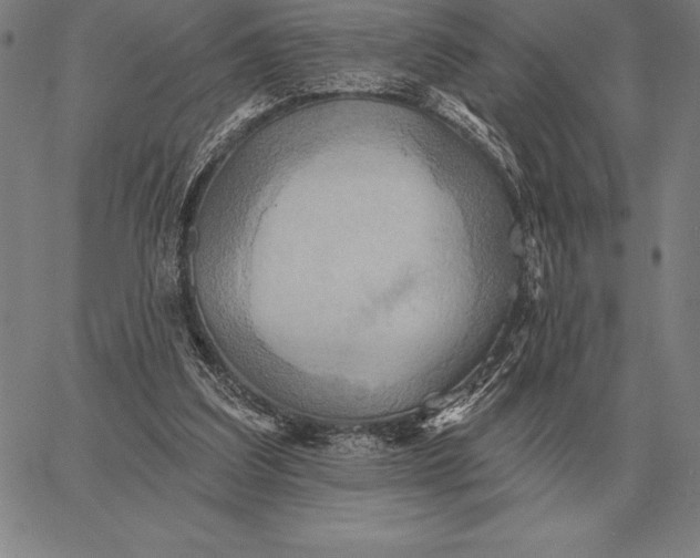 X0000067350203200604131759