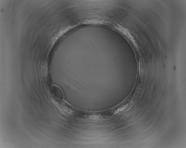 X0000067350204200604131759