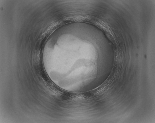 X0000067350206200604131759