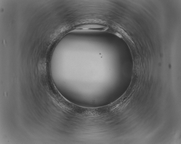 X0000067350207200604131759