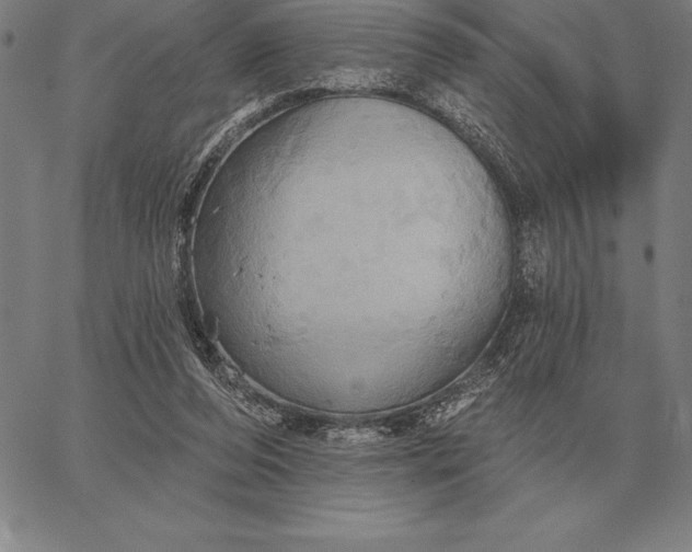 X0000067350208200604131759