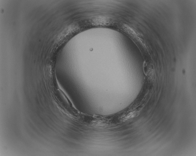 X0000067350211200604131759