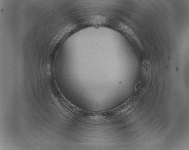 X0000067350212200604131759