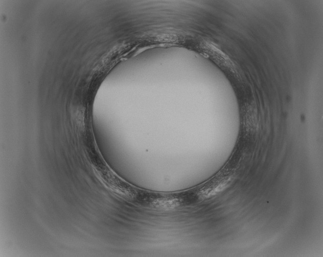 X0000067350213200604131759