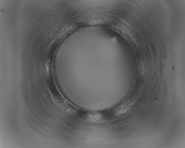 X0000067350214200604131759