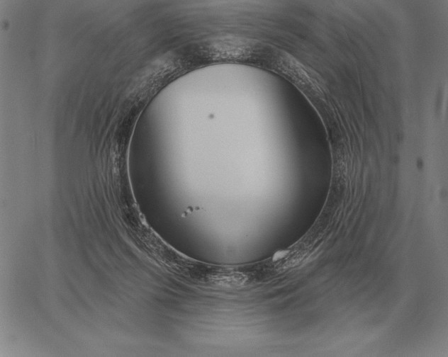 X0000067350215200604131759